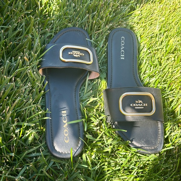 Lightly used - Picture 1 of 1